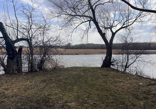 г Грязи ул Степана Разина городское поселение Грязи фото