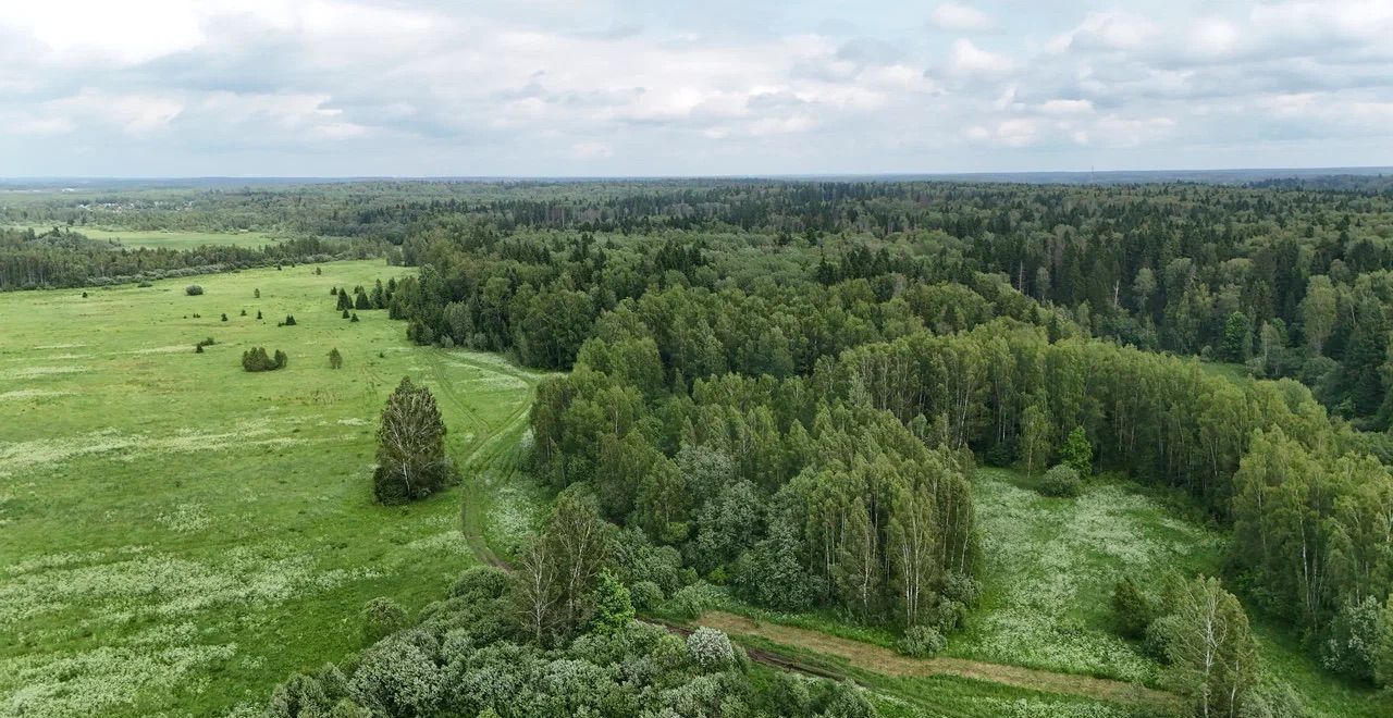 земля городской округ Истра п Глебовский коттеджный пос. Экопарк Истра, г. о. Истра фото 6