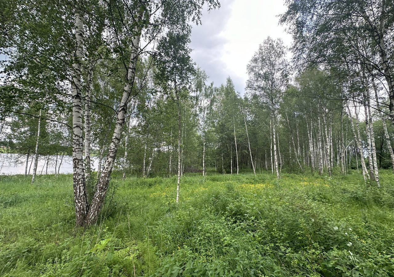 земля городской округ Можайский товарищество собственников недвижимости садоводческое некоммерческое товарищество Изумрудное Озеро, 47, Можайск фото 5