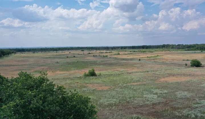 земля р-н Среднеахтубинский п Рыбачий Фрунзенское сельское поселение, Волжский фото 7