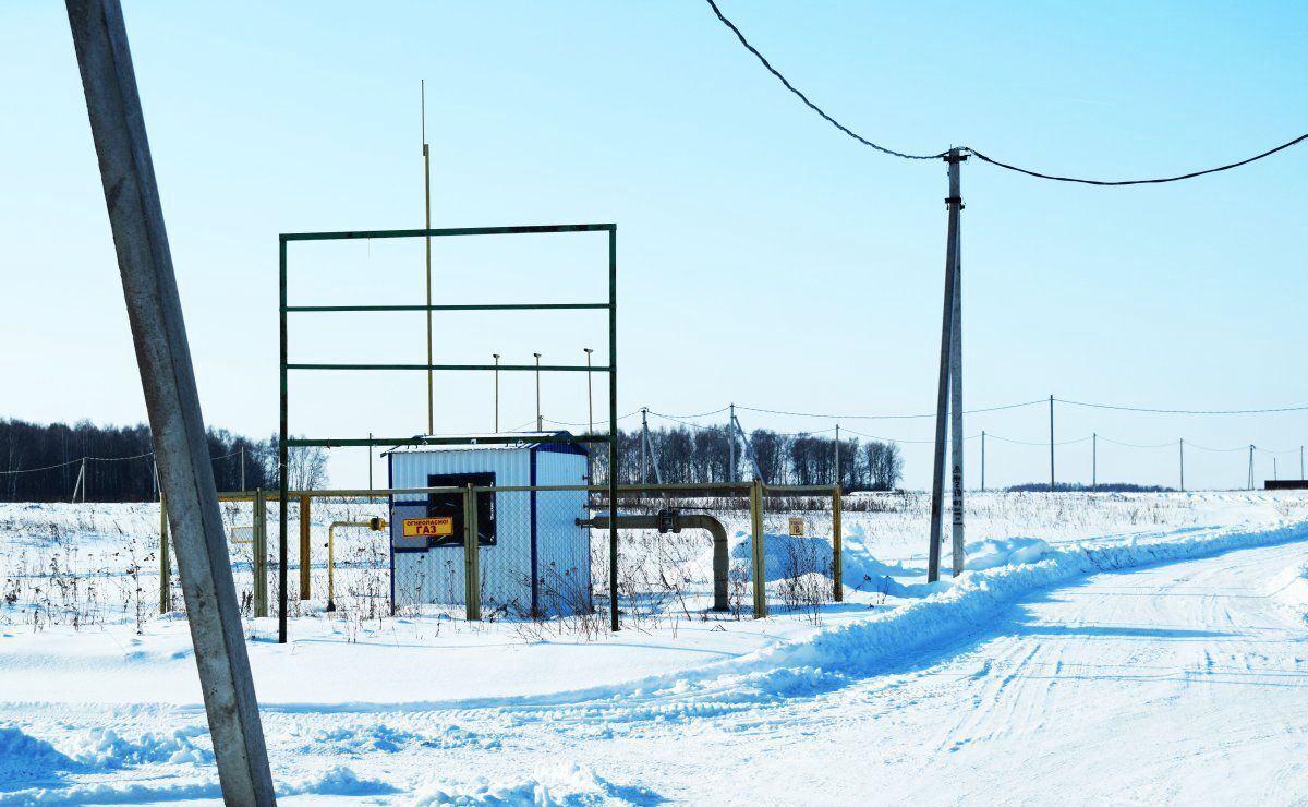 земля р-н Богородский д Выболово ул Земляничная Богородск фото 2