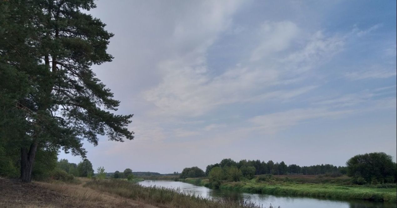 дом городской округ Павловский Посад д Назарьево снт Рассвет 37 фото 10