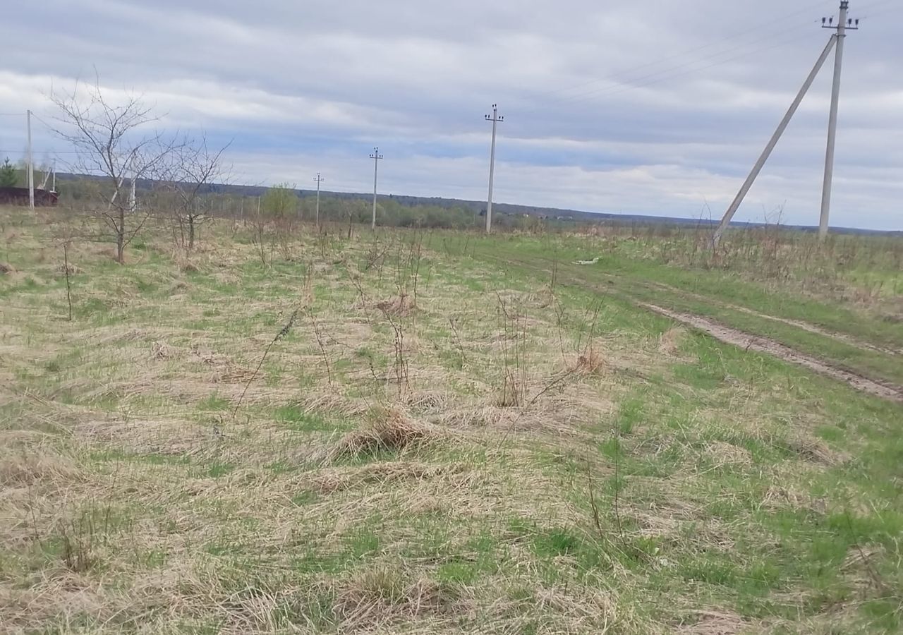 земля городской округ Раменский д Большое Ивановское Бронницы фото 5