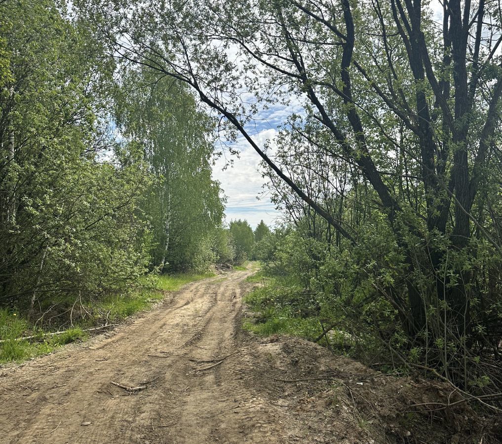 земля городской округ Павловский Посад фото 14