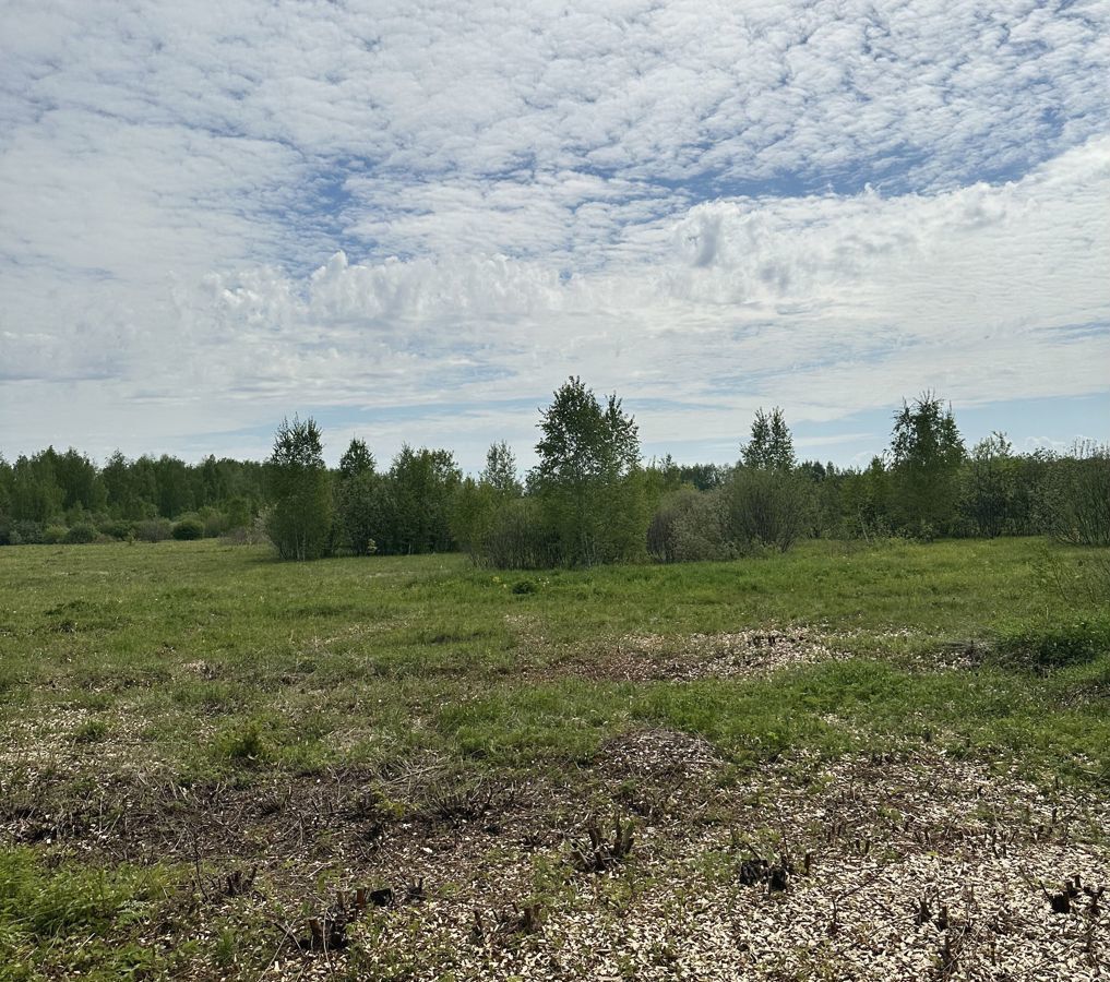 земля городской округ Павловский Посад фото 20