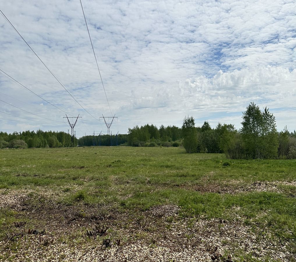 земля городской округ Павловский Посад фото 32