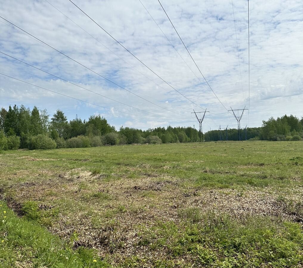 земля городской округ Павловский Посад фото 37