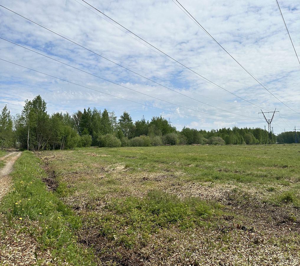 земля городской округ Павловский Посад фото 33