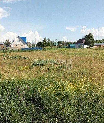 ул Советская Верх-Ирменский сельсовет фото