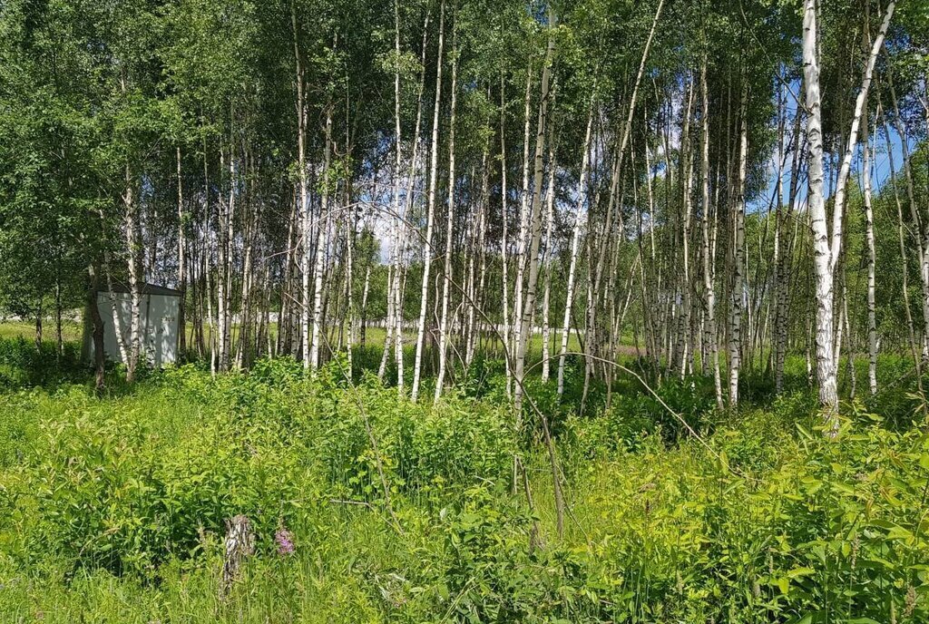 земля городской округ Дмитровский д Капорки Лобня фото 2