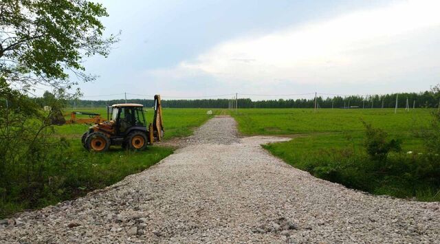 земля д Дроздово (Бриляковский с/с) фото