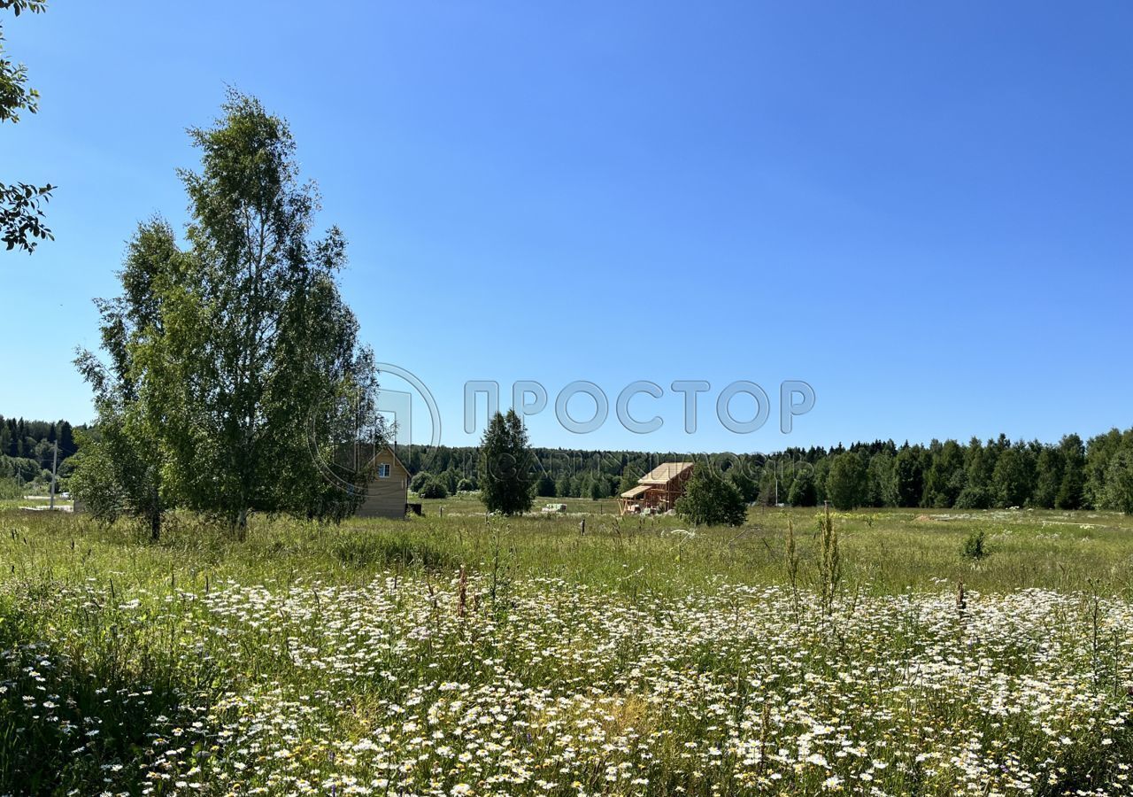 земля городской округ Сергиево-Посадский г Краснозаводск коттеджный пос. Яркое фото 1