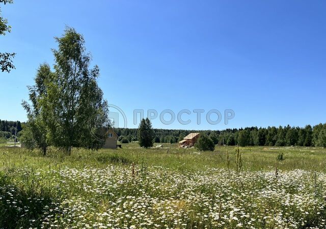 земля г Краснозаводск коттеджный пос. Яркое фото