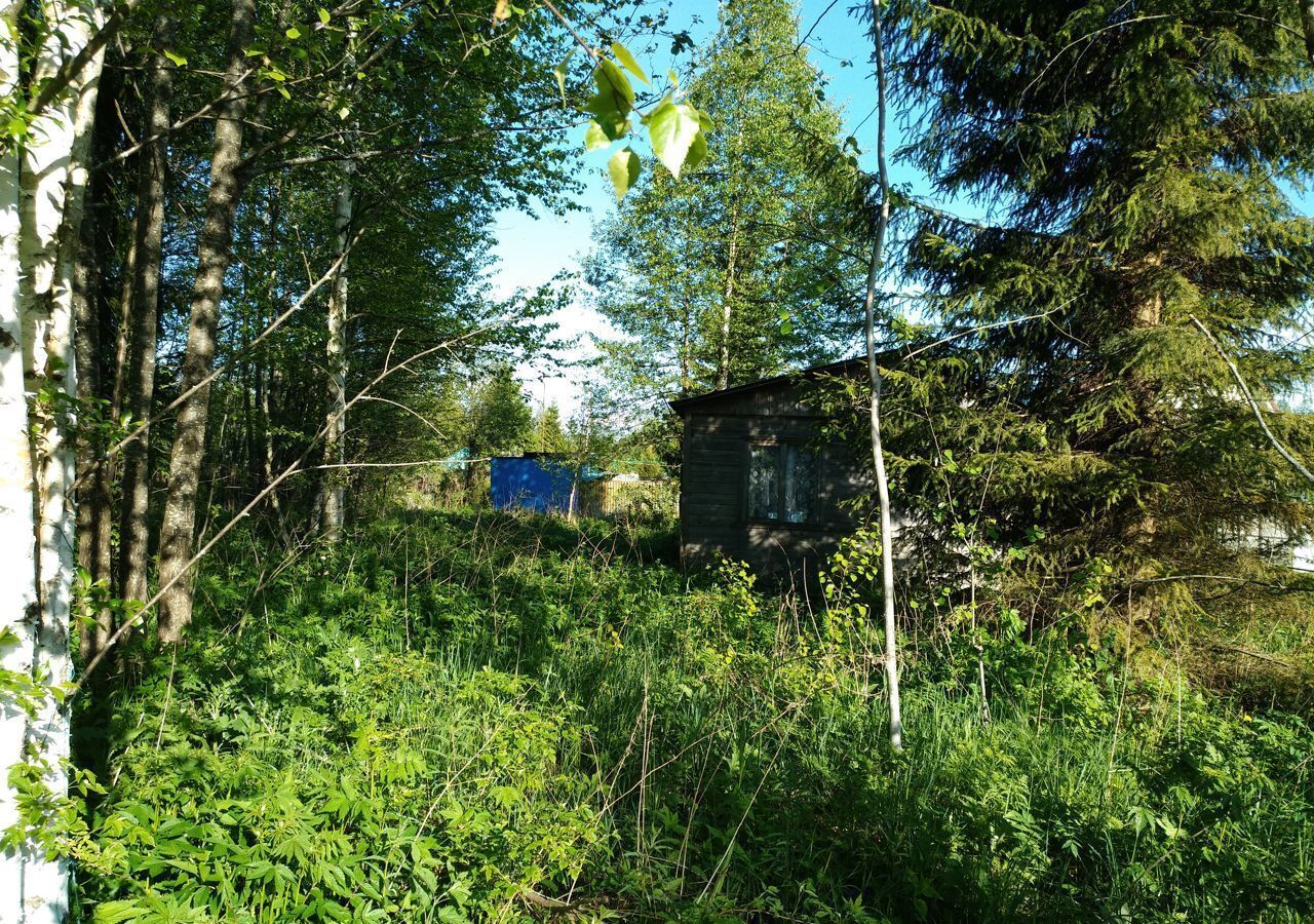 земля городской округ Талдомский г Талдом садовое товарищество Нива фото 5