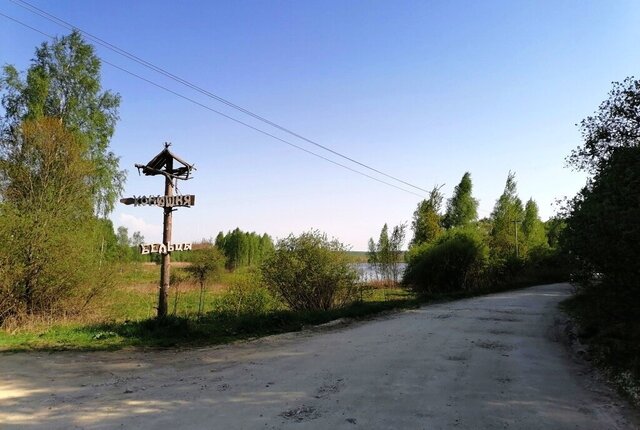 д Бельцы муниципальное образование Кипревское фото