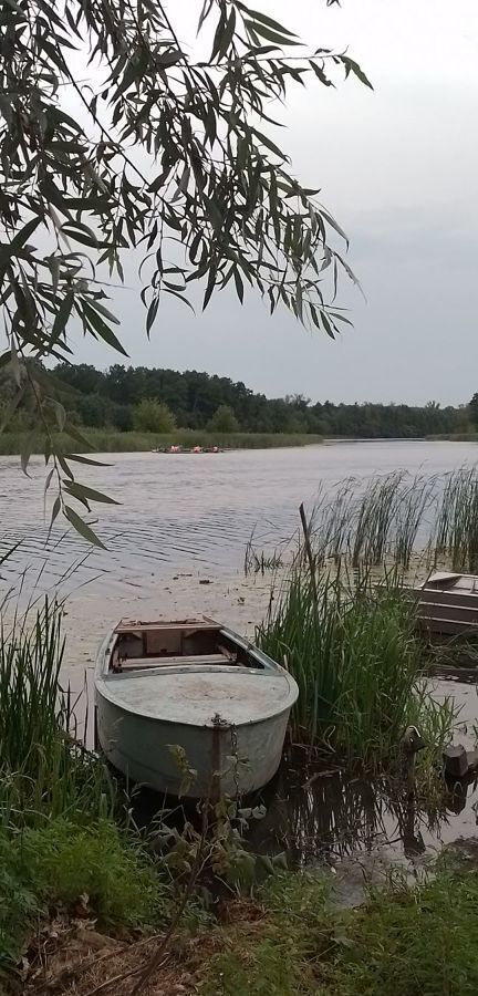 земля р-н Бобровский с Коршево ул Набережная Коршевское сельское поселение, Бобров фото 15