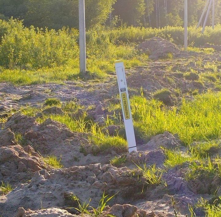 земля городской округ Орехово-Зуевский д Савостьяново снт Победа фото 2