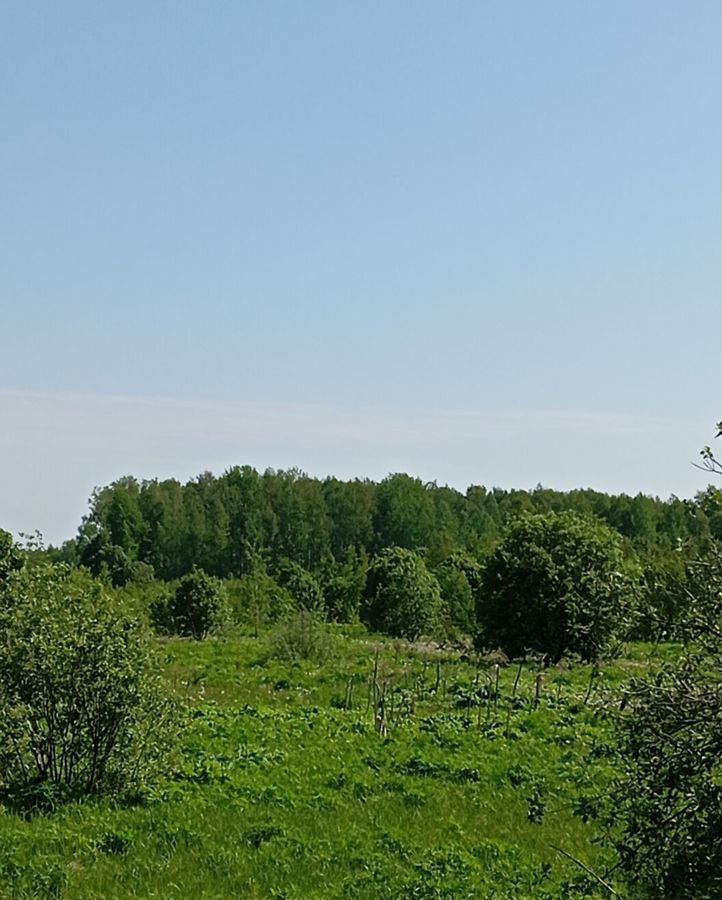 земля р-н Рославльский д Чижовка-1 Любовское сельское поселение, Десногорск фото 5