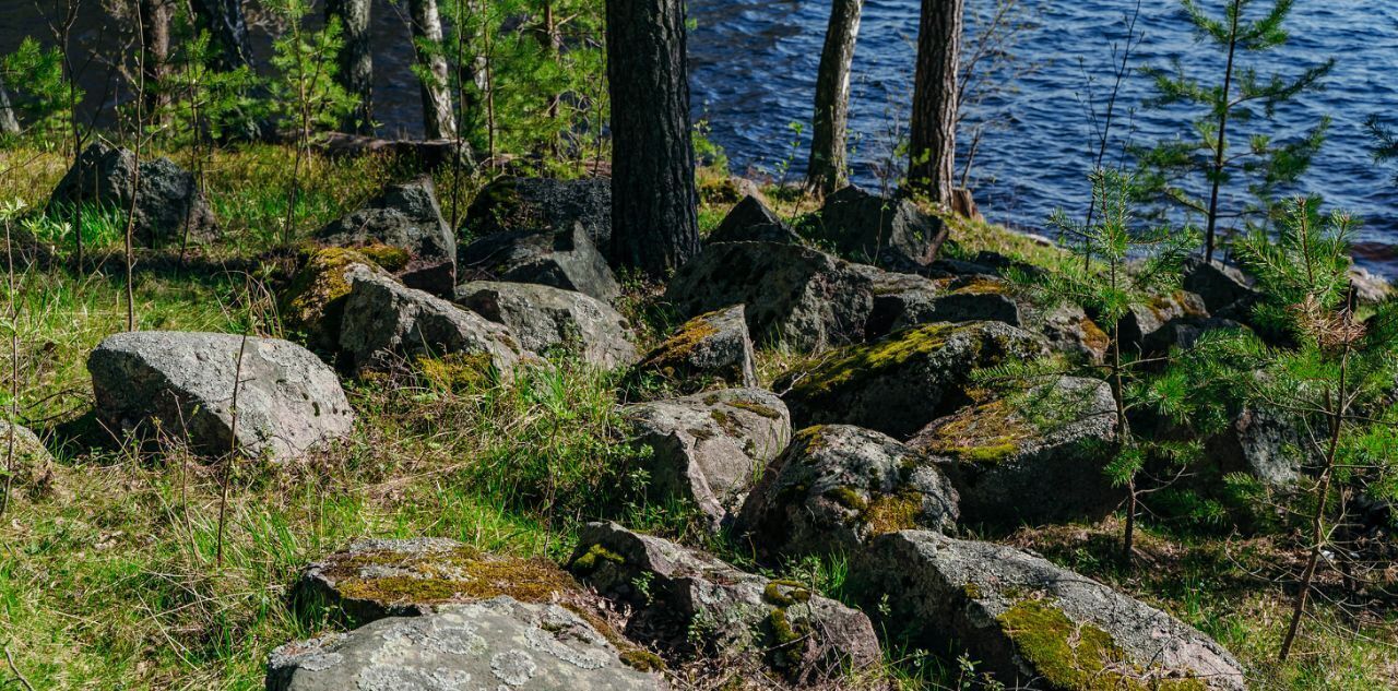 земля р-н Выборгский Приморское городское поселение, Тишь да гладь кп фото 12