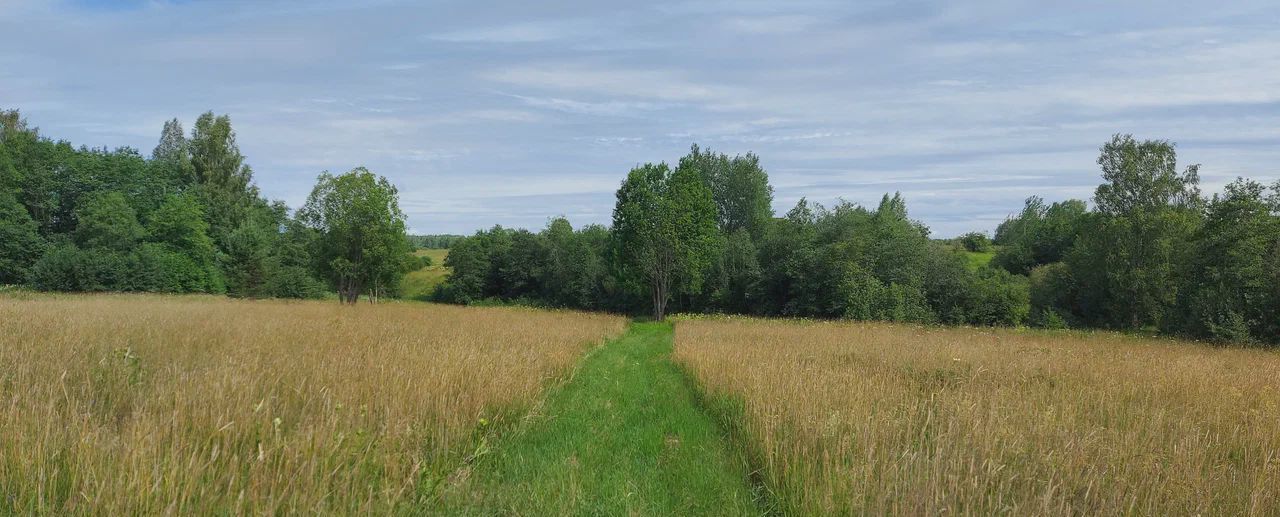 земля р-н Тосненский п Рябово Любанское городское поселение фото 7