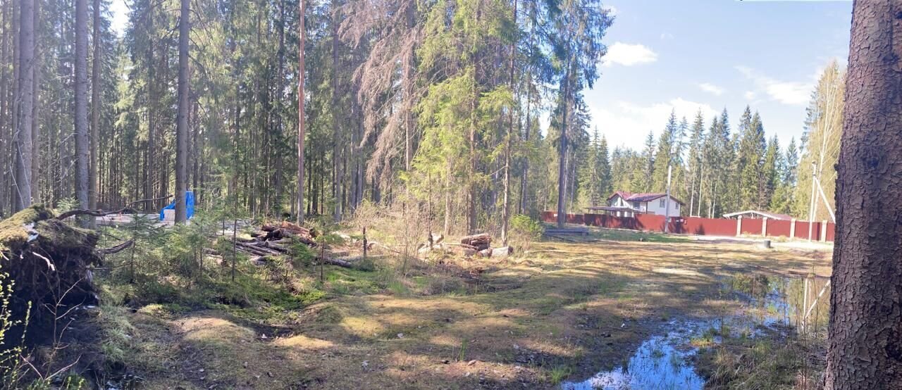 земля р-н Гатчинский п Вырица ул Максима Горького Вырицкое городское поселение, городской пос. Вырица фото 7