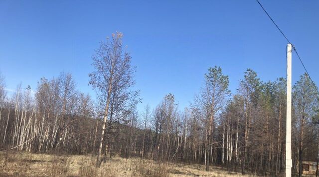 снт Меркурий Верхняя Пышма городской округ фото