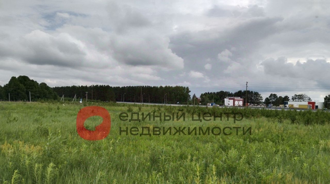 земля р-н Тюменский с Борки Каскаринское сельское поселение фото 3