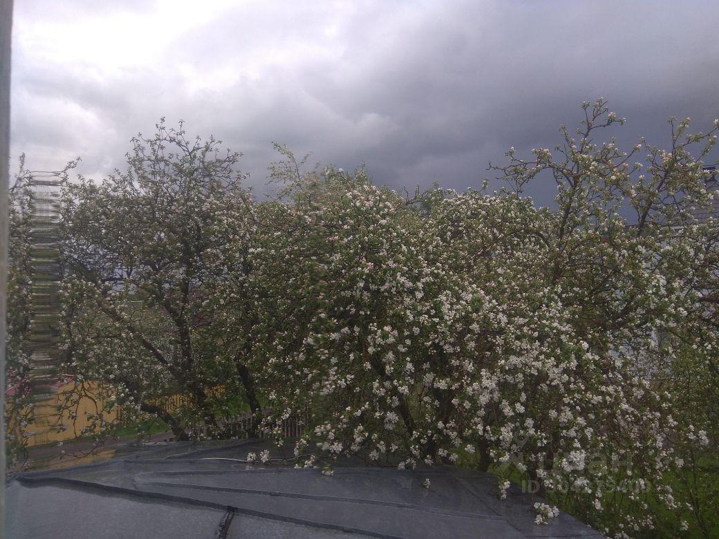 дом Санкт-Петербург, Красносельский район, Красное Село, Загородная улица, 12/18 фото 6