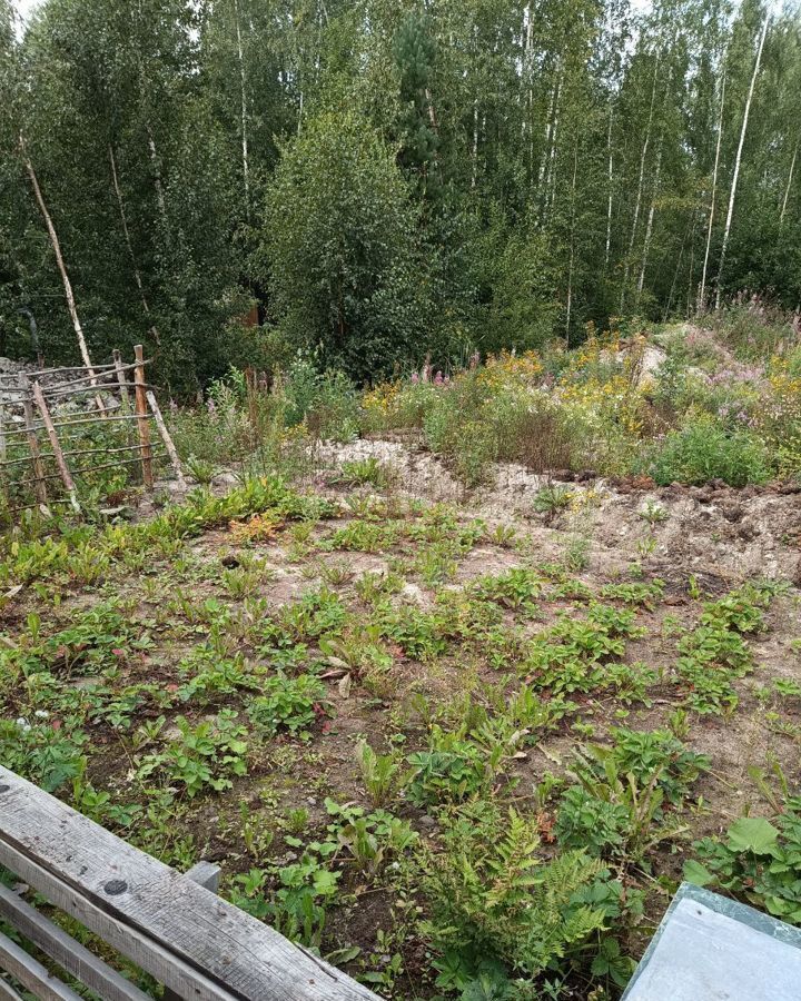 земля р-н Тосненский снт Меркурий Форносовское городское поселение, Форносово фото 7