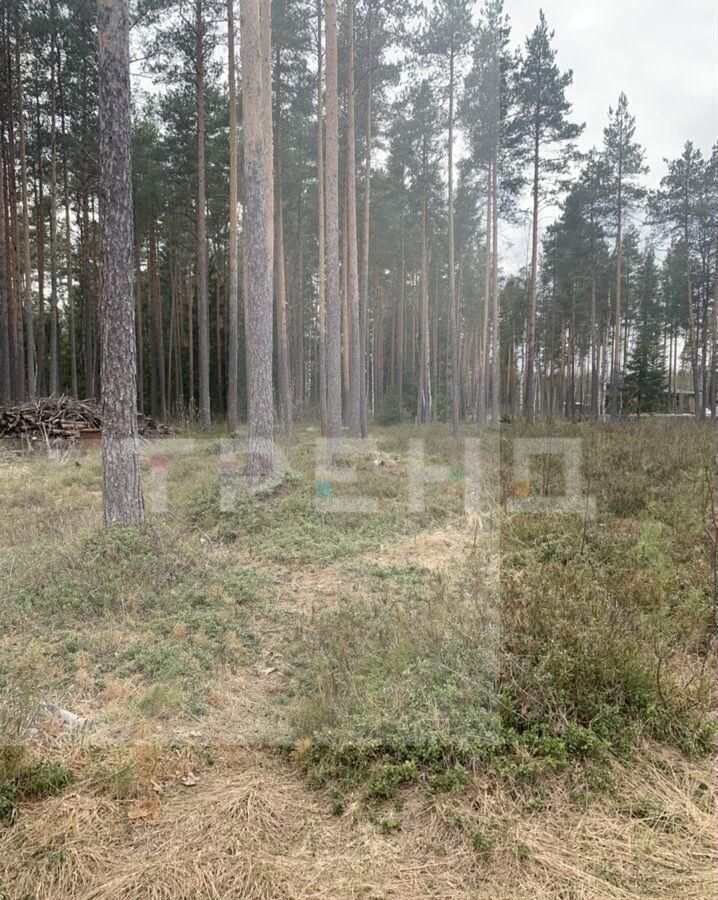 земля р-н Всеволожский Сертоловское городское поселение, садоводческое некоммерческое партнерство Северная Жемчужина, 10-я линия, Санкт-Петербург фото 2