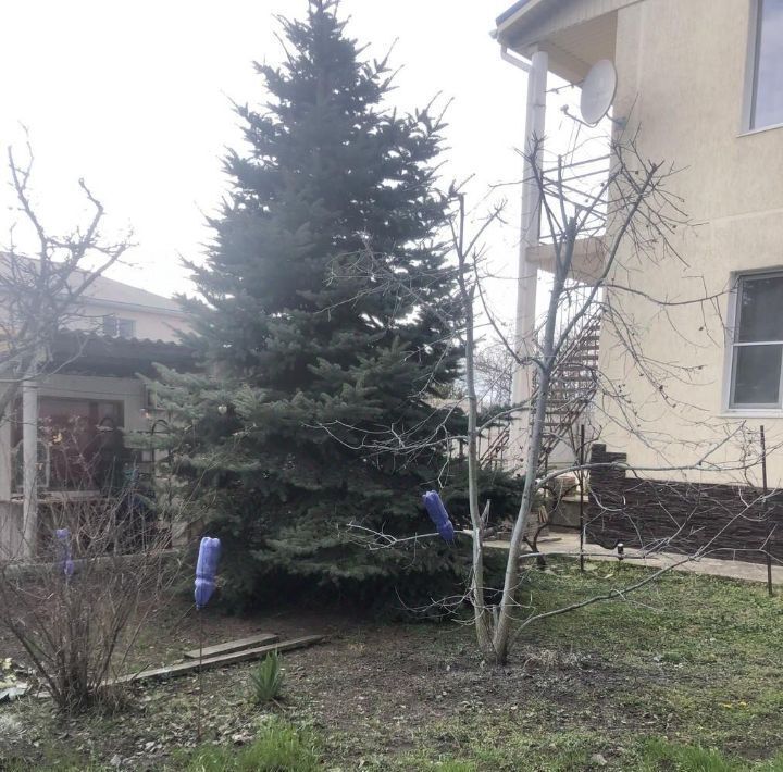 дом р-н Анапский х Красный снт Южное пер Черноморский ДНТ, Анапа муниципальный округ фото 12