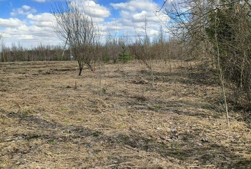 дом Рахьинское городское поселение, коттеджный посёлок Гладкое-Рахья фото 3