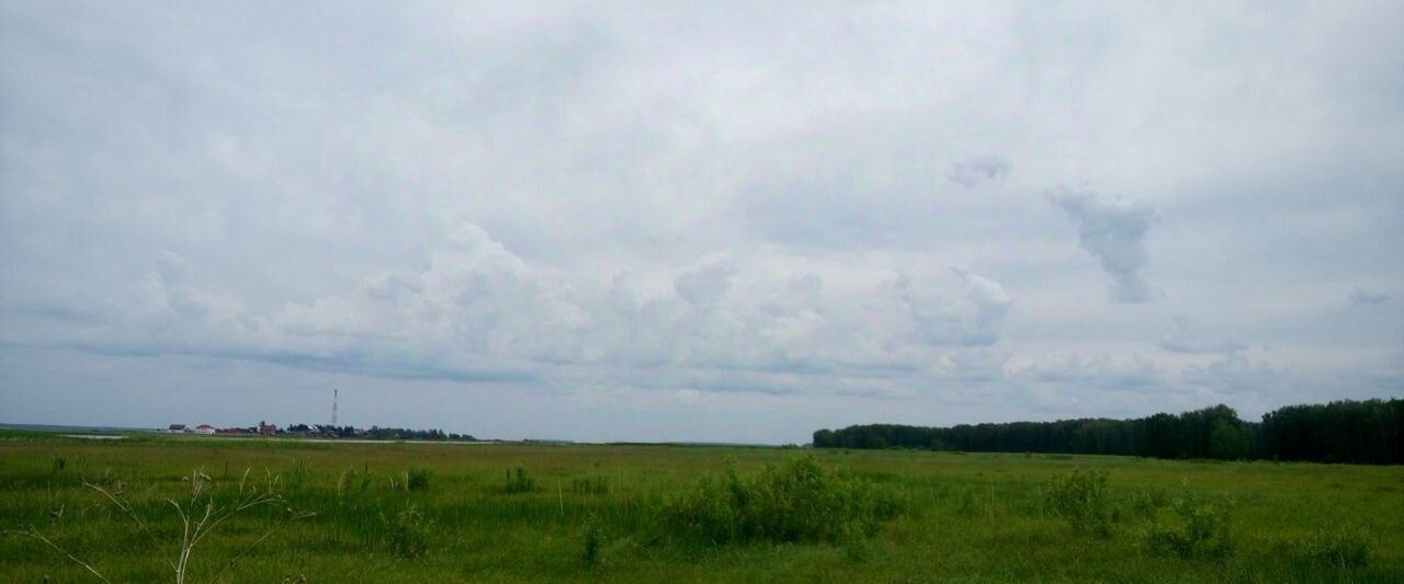 земля г Новосибирск р-н Заельцовский Заельцовская пр-кт Красный фото 3