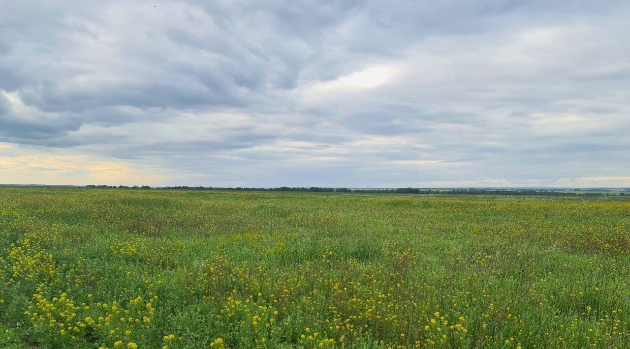 земля г Бердск ул Ленина фото 7