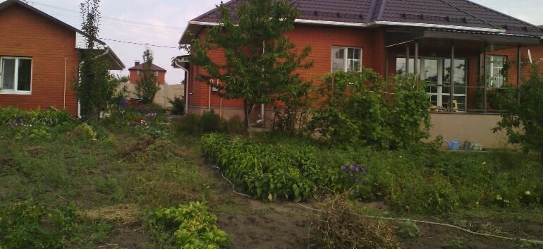 дом р-н Белгородский с Беловское Беловское сельское поселение фото 1