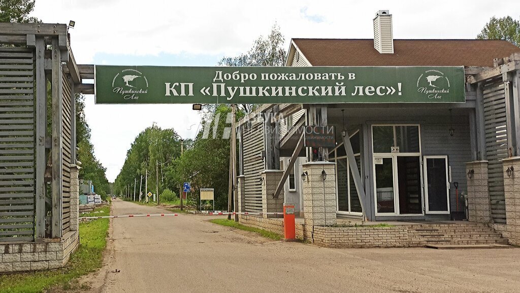 земля городской округ Пушкинский д Могильцы р-н мкр Пушкинский лес фото 14