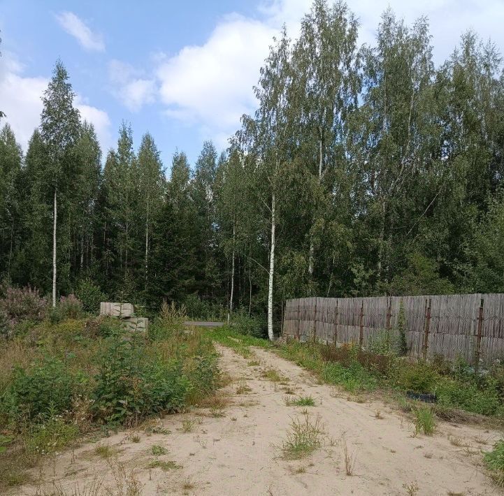 земля р-н Тосненский снт Меркурий Форносовское городское поселение фото 4