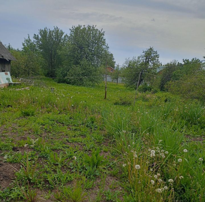 земля р-н Богородский с Ефимьево ул Центральная фото 3