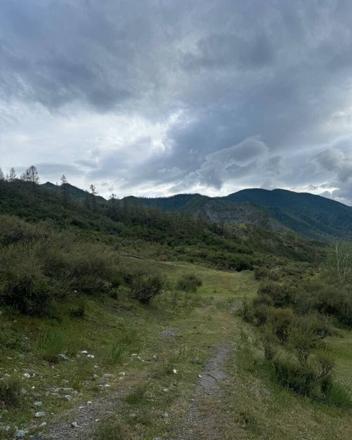 земля р-н Онгудайский с Инегень Онгудай фото 18