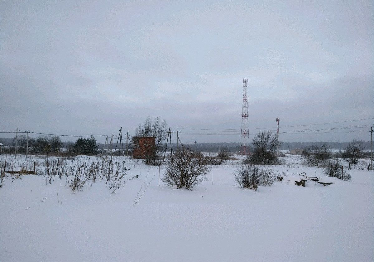 земля городской округ Сергиево-Посадский д Душищево Краснозаводск фото 5