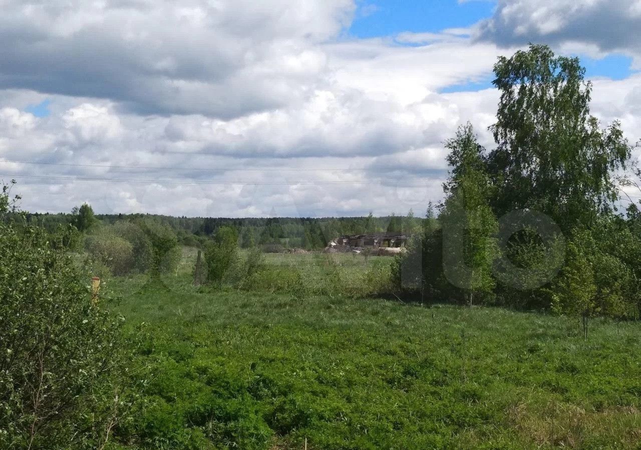 земля городской округ Сергиево-Посадский д Душищево Краснозаводск фото 14