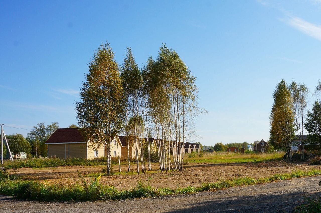 земля городской округ Дмитровский д Щепино Икша фото 7