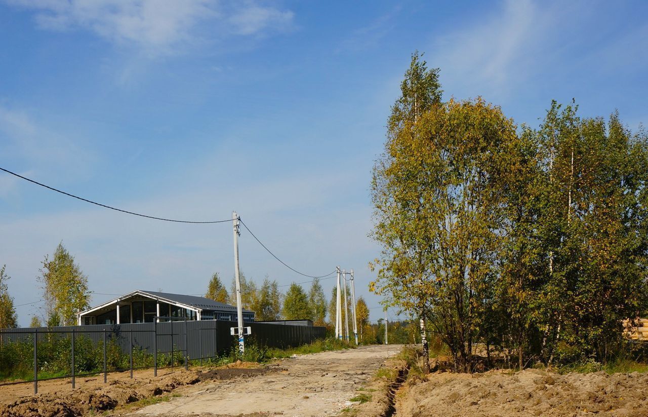 земля городской округ Дмитровский д Щепино Икша фото 10