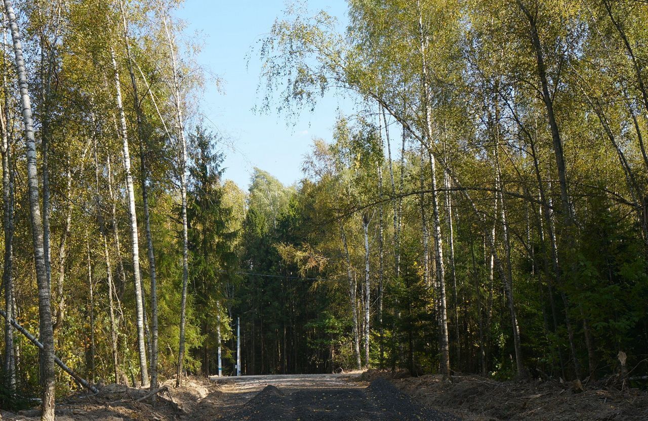 земля городской округ Дмитровский д Щепино Икша фото 16