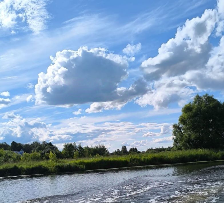 земля городской округ Богородский г Ногинск снт Путеец 145 фото 14