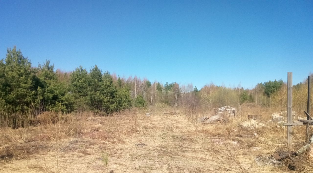 земля р-н Городецкий с. Смольки фото 4