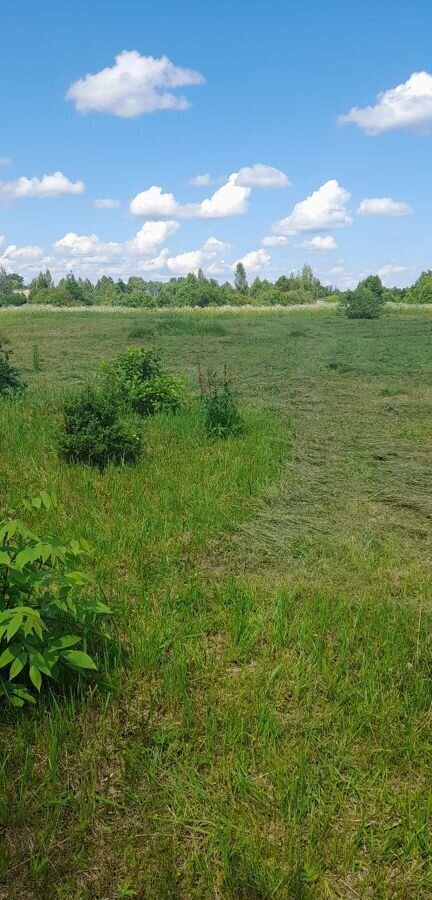 земля р-н Рамешковский с/п Застолбье д Городок Рамешки фото 8