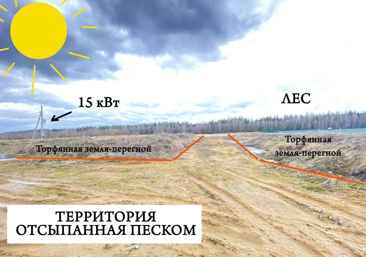 земля р-н Всеволожский д Лесколово 41К-308 фото 2