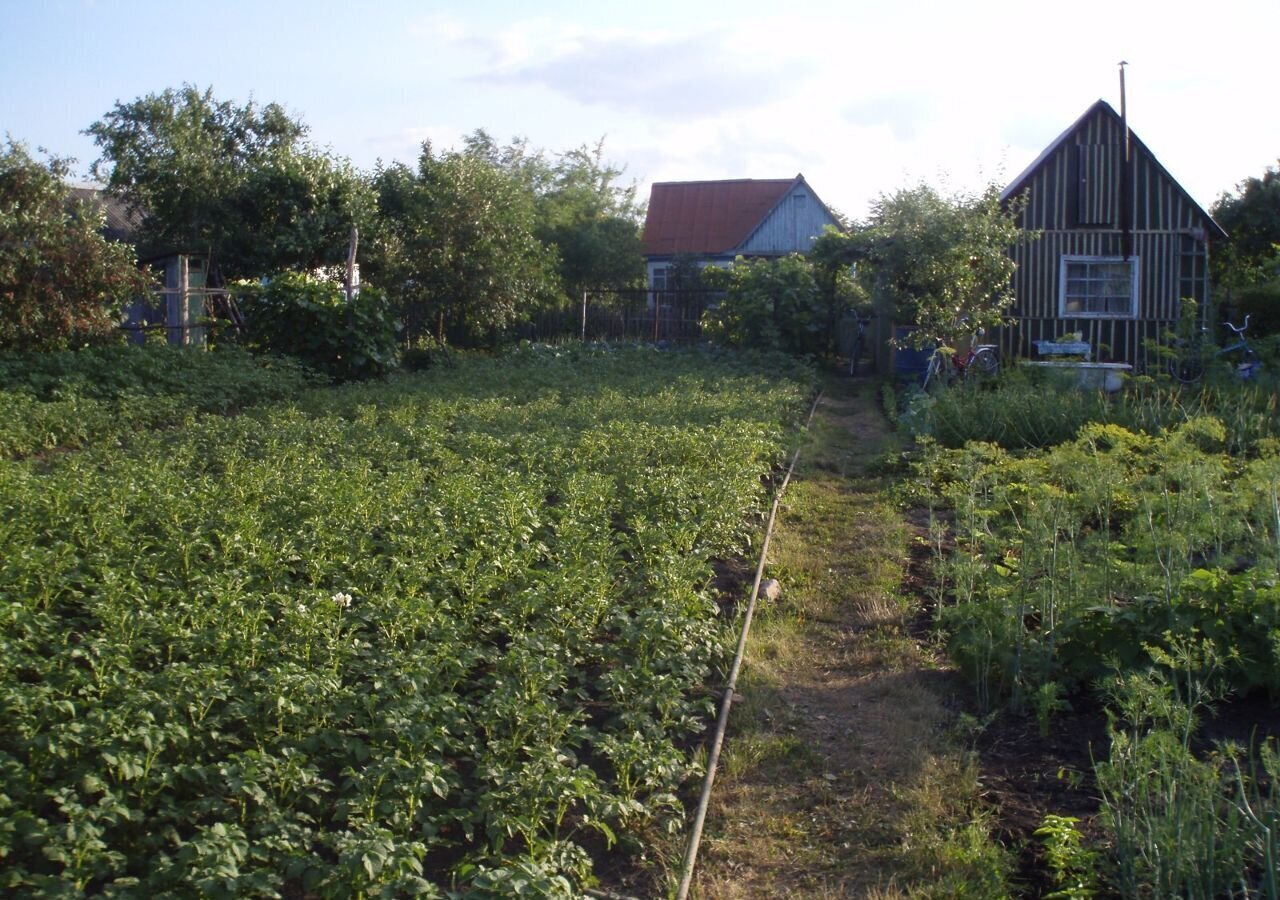 земля р-н Лебедянский снт Заря Кузнецкий сельсовет, Лебедянь фото 1