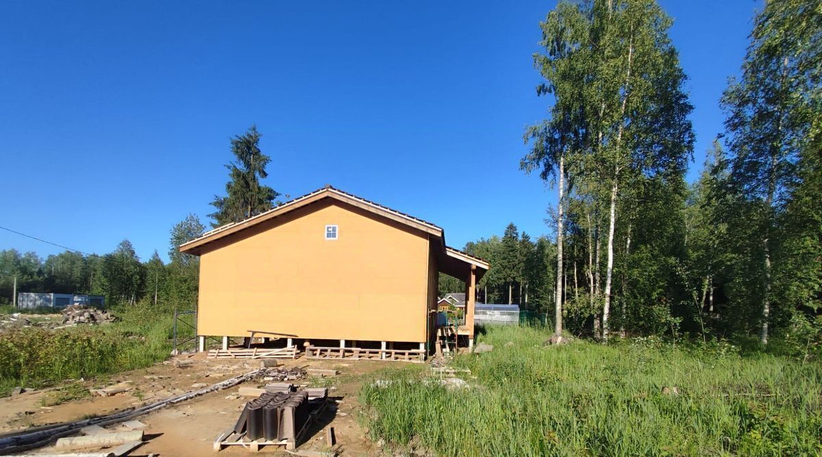 дом р-н Всеволожский д Борисова Грива Рахьинское городское поселение фото 3